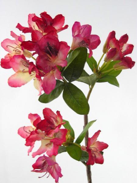 FW1098/RHODODENDRON FUCHSIA L70cm