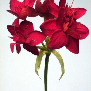 FW1108/AMAZON LILY SPRAY RED