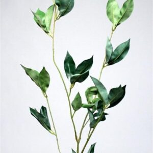 FW1191/FICUS SPRAY X45 GREEN 85CM