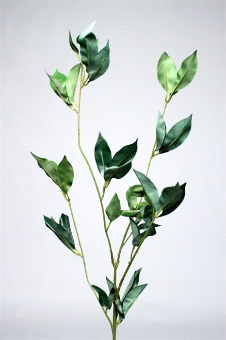 FW1191/FICUS SPRAY X45 GREEN 85CM