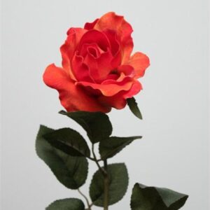 FW1201/OUTLET OPEN ROSE ORANGE 60CM