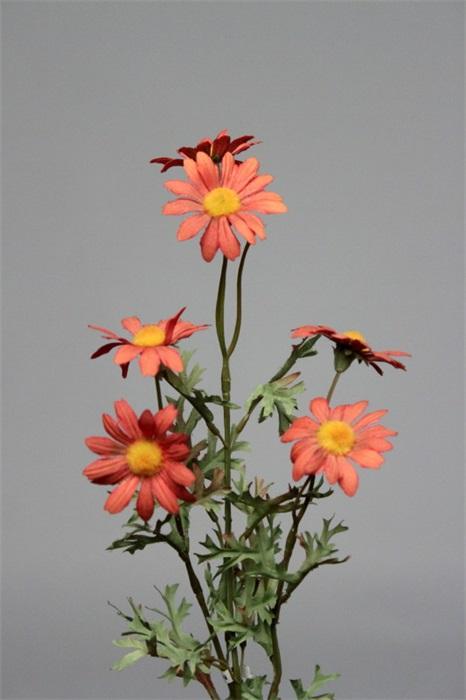 FW1207/OUTLE MARGRIET AUT 65CM