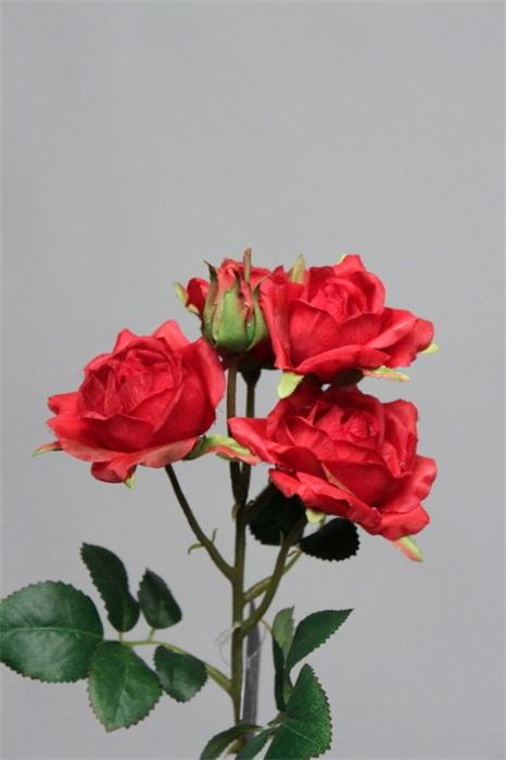 FW1226/ROSE X 5 RED 50CM