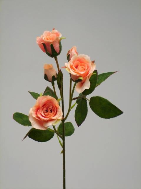 FW1228/ROSE BUD