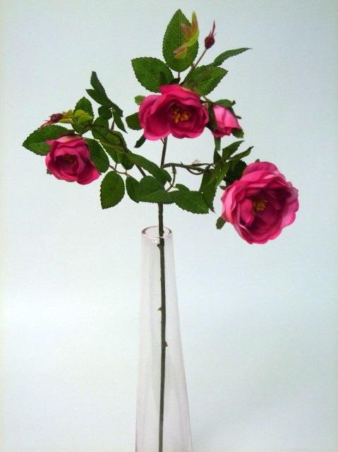 FW1229/CABBAGE ROSE 70CM