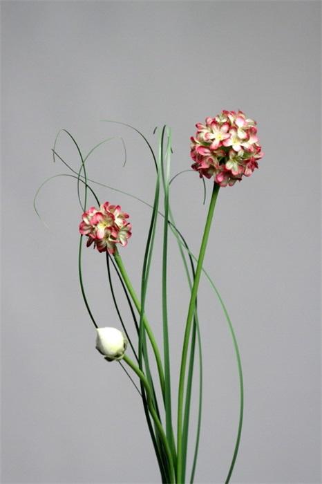 FW1251/ALLIUM SPRAY 48CM