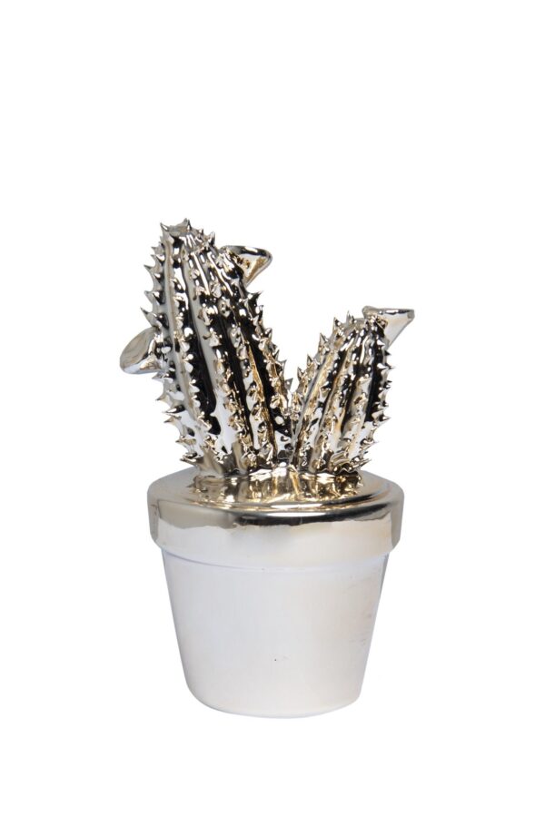 FG1046/Sonoran Cacti in Gold Small Assorted DIMENSIONS (CM): 14 x 7 x 6