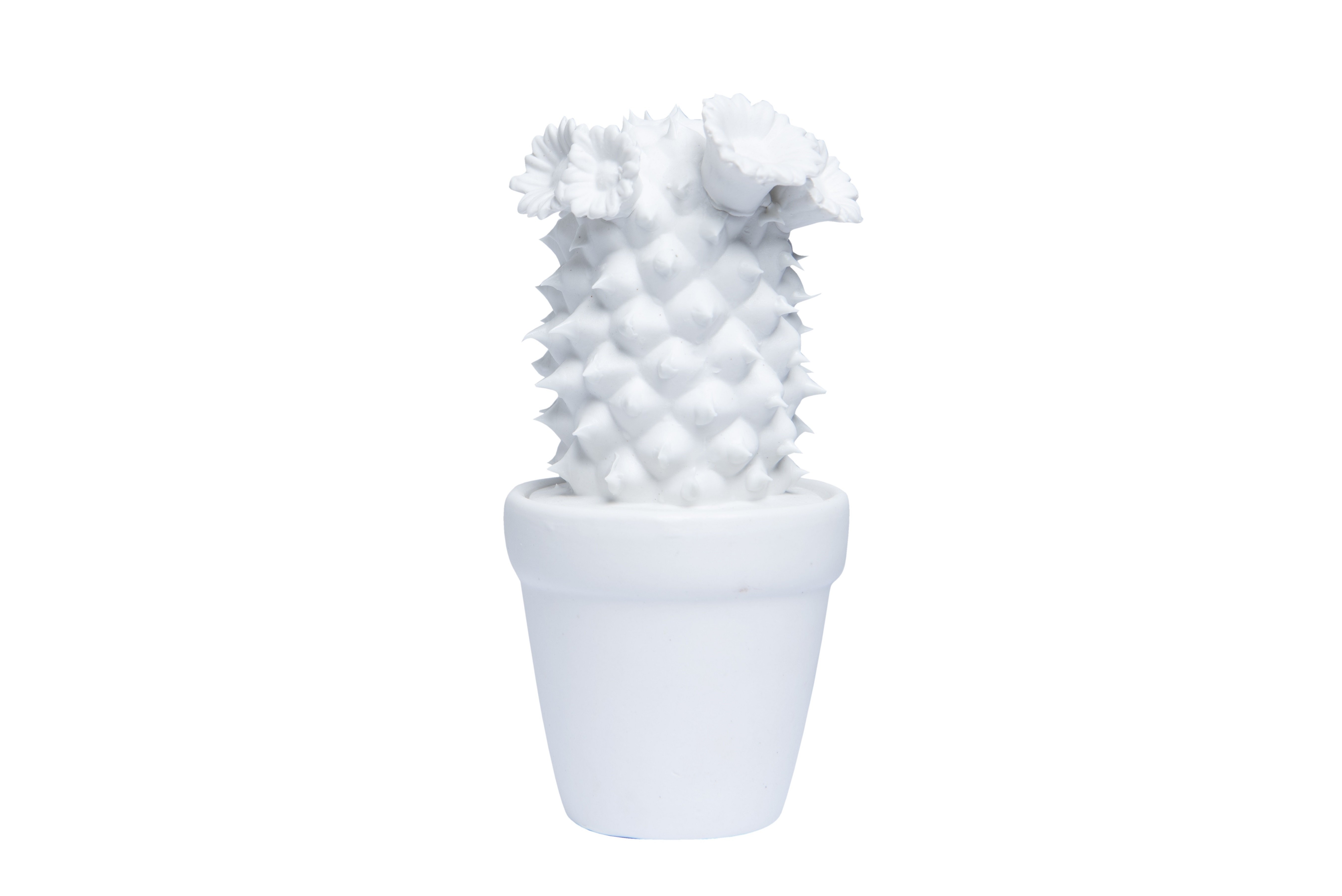 FG1070/Sonoran Cacti in White Assorted DIMENSIONS (CM): 22 x 13 x 12