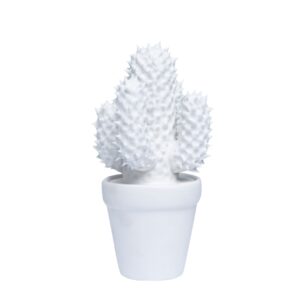 FG1070/Sonoran Cacti in White Assorted DIMENSIONS (CM): 22 x 13 x 12