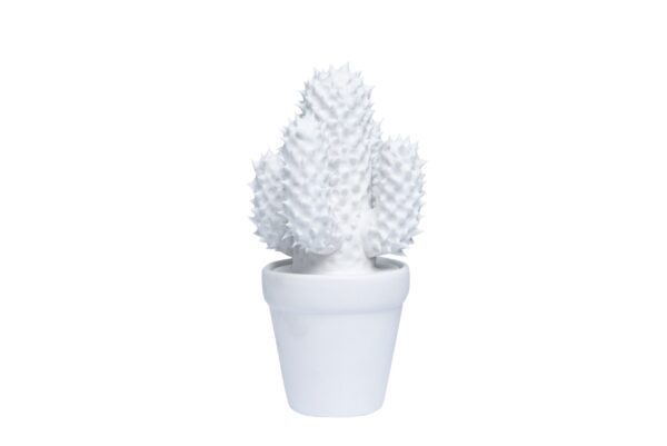 FG1070/Sonoran Cacti in White Assorted DIMENSIONS (CM): 22 x 13 x 12