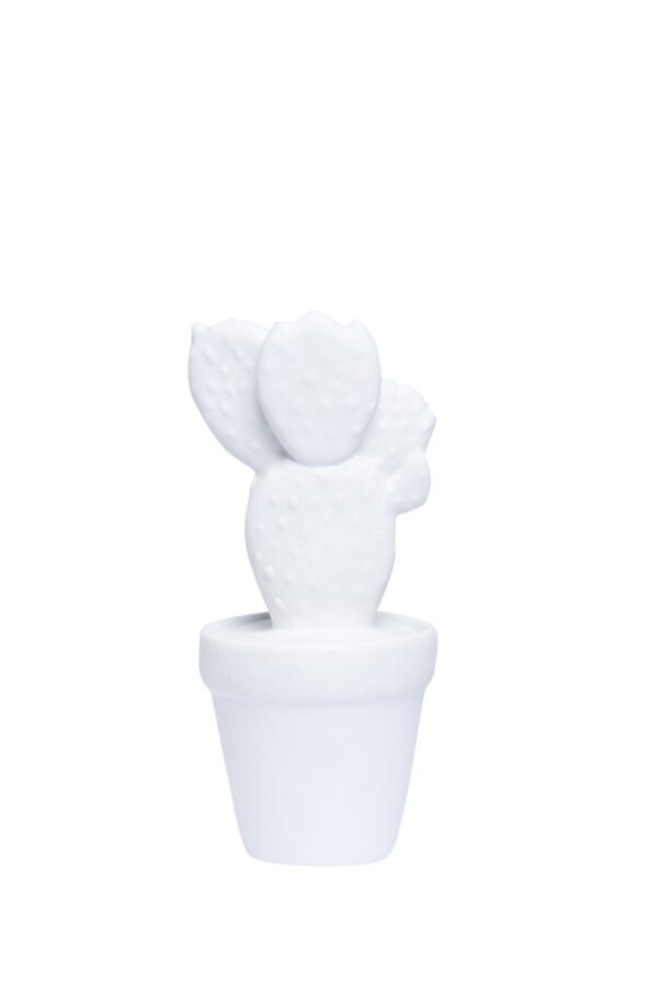 FG1070/Sonoran Cacti in White Assorted DIMENSIONS (CM): 22 x 13 x 12