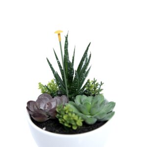 FW1297/FLOWER-POT 4/M MULTICOLOR PVC-CERAMIC 11 X 11 X 16 CM