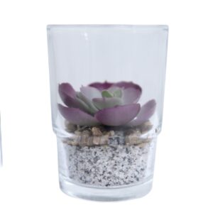 FW1299/FLOWER-POT CACTUS 6/M GREEN PVC-GLASS 7 X 7 X 10 CM