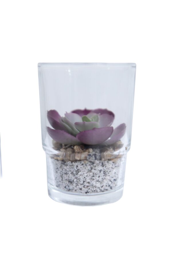 FW1299/FLOWER-POT CACTUS 6/M GREEN PVC-GLASS 7 X 7 X 10 CM