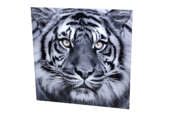 PA1106/King of the Forest Glass Painting DIMENSIONS (CM): 80x80