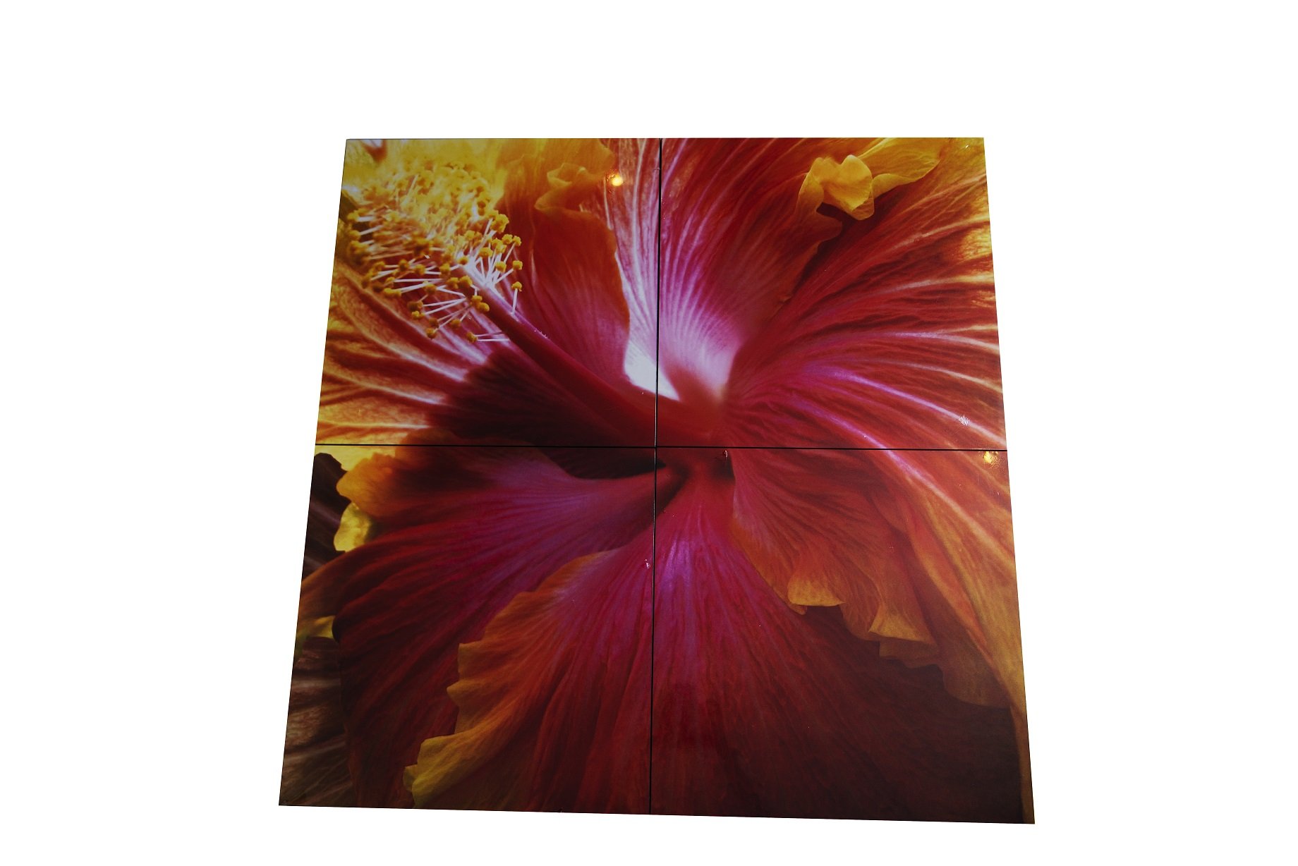 PA1165/HIBISCUS 4 PANEL PHOTO