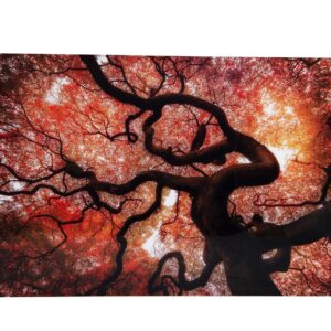 PA1170/TABLE TREE BROWN-ORANGE TEMPERED GLASS 150,00 X 0,40 X 100,00 CM