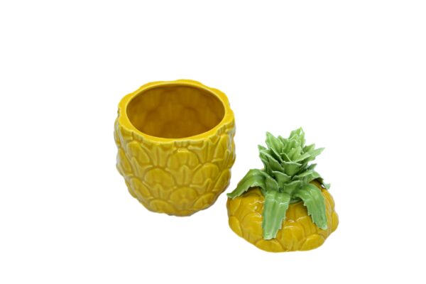 FG1068/Ananas Container DIMENSIONS (CM): 23 x 13 x 13