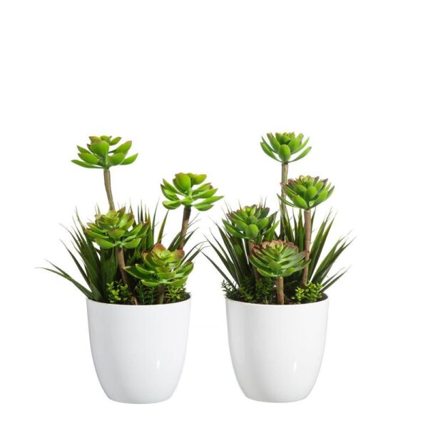 FW1295/FLOWER-POT GREEN PVC GARDEN