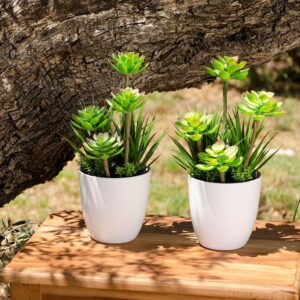 FW1295/FLOWER-POT GREEN PVC GARDEN