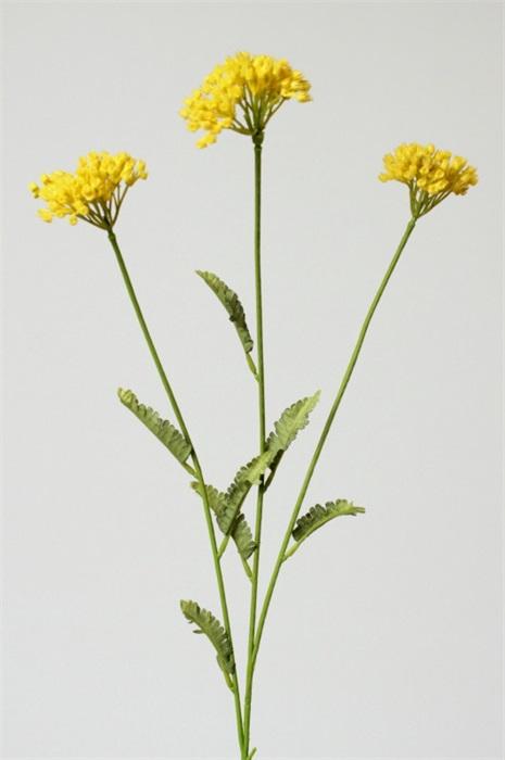 FW1314/PROMO ACHILLEA X3 GEEL