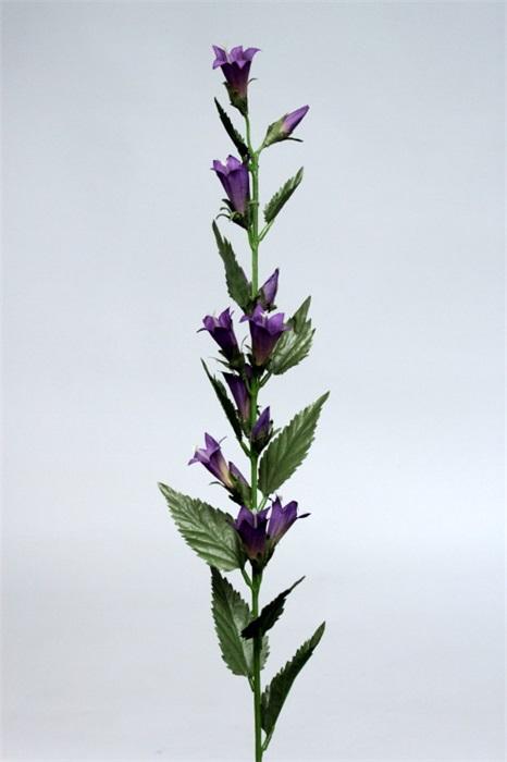 FW1324/CAMPANULA 85CM