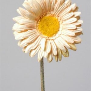 FW1328/GERBERA 2COL WH.P.