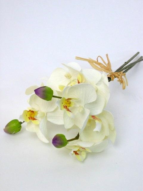 FW1371/PHALAENOPSIS X3 32CM CREAM 12/120