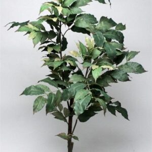 FW1386/COFFEE GREEN TREE 130CM