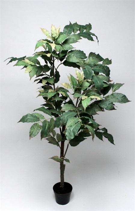 FW1386/COFFEE GREEN TREE 130CM