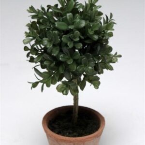 FW1388/BOXWOOD POT D.GR 30CM