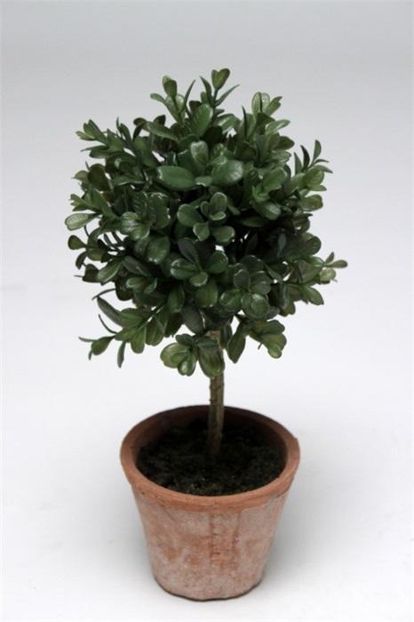 FW1388/BOXWOOD POT D.GR 30CM