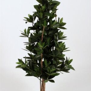 FW1390/SWEET LINK TREE GR.648LVS. 110CM