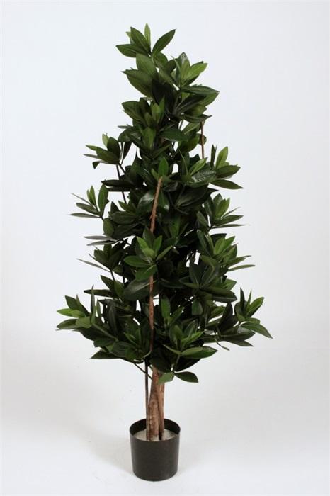 FW1390/SWEET LINK TREE GR.648LVS. 110CM