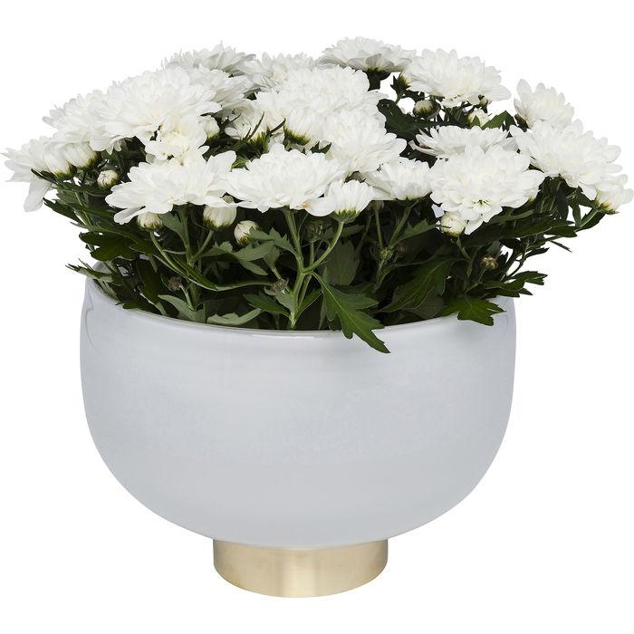 VS1239/Vase Pure White Bowl 17cm