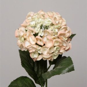 FW1321/HYDRANGEA SMALL PECHE 70CM