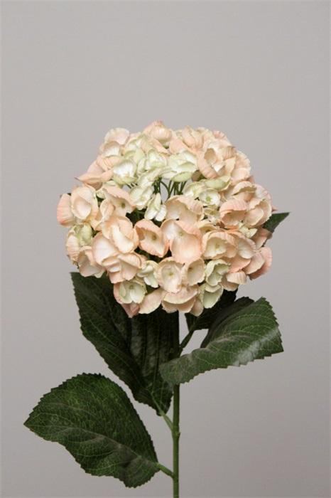 FW1321/HYDRANGEA SMALL PECHE 70CM