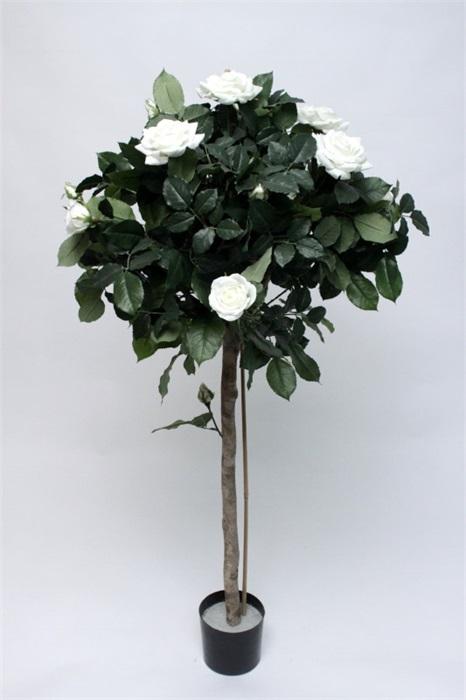 FW1353/ROSE BALL TREE WHITE 1.30M