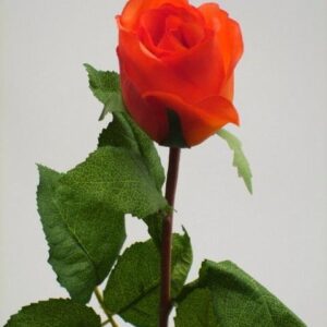 FW1359/OPEN ROSE BUD ORANGE 75CM