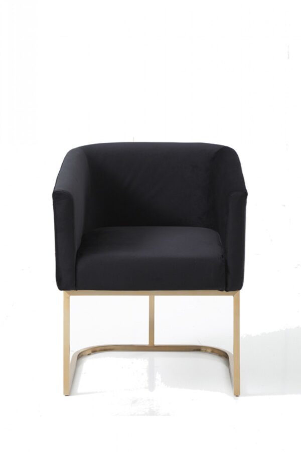 DC1041/DAWSON Modern Dining Chair