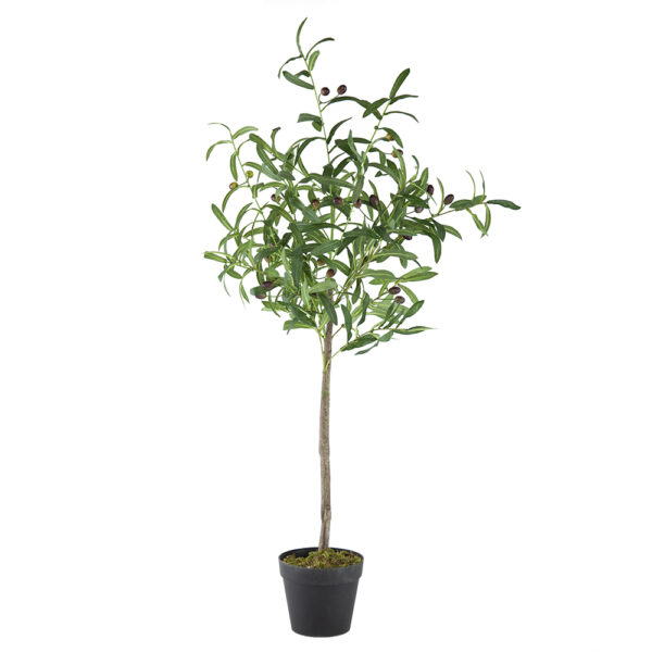 Olivia Tree - Image 4