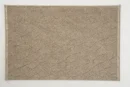 Theshowroom Furniture Antrasit Rug CR1124-BEIGE