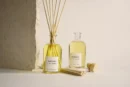 Ambientair Radiant Spice Tangerine Mikado-250ML