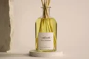 Ambientair Radiant Spice Tangerine Mikado-250ML