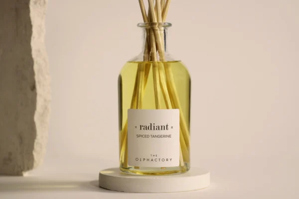 Ambientair Radiant Spice Tangerine Mikado-250ML - Image 3