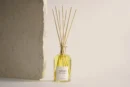 Ambientair Radiant Spice Tangerine Mikado-250ML