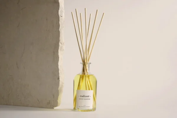 Ambientair Radiant Spice Tangerine Mikado-250ML - Image 4
