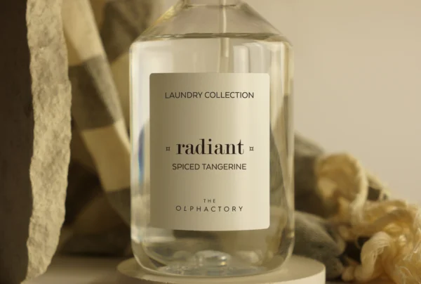 Ambientair Radiant Spice Tang. Fabric Refreshener - Image 2