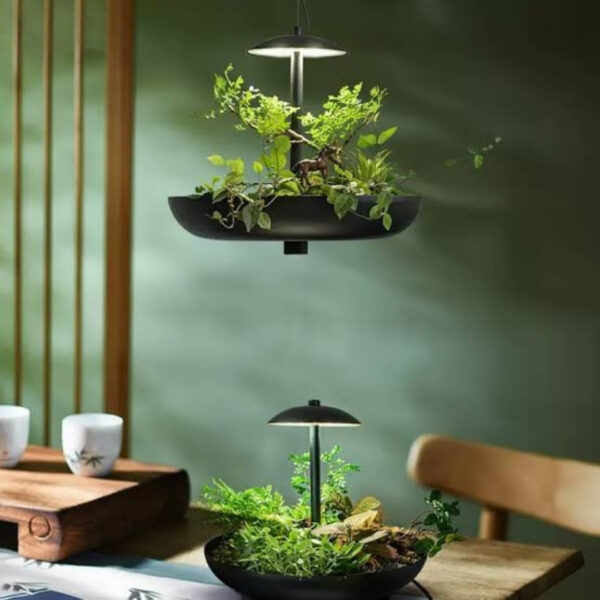 Solvia Pendant Light-Medium - Image 2