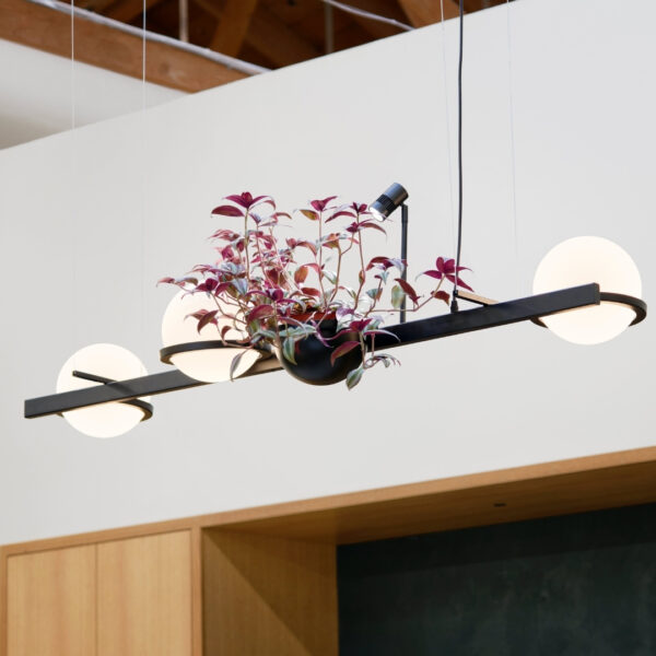 Halo Pendant Light